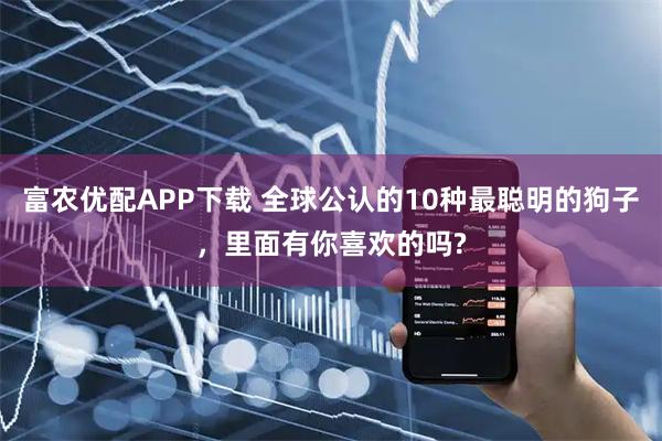 富农优配APP下载 全球公认的10种最聪明的狗子,里面有你喜欢的吗?